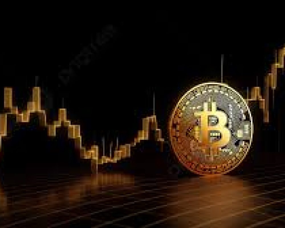 Inside Maria’s Portfolio: 7 High-Impact Crypto & Forex Projects